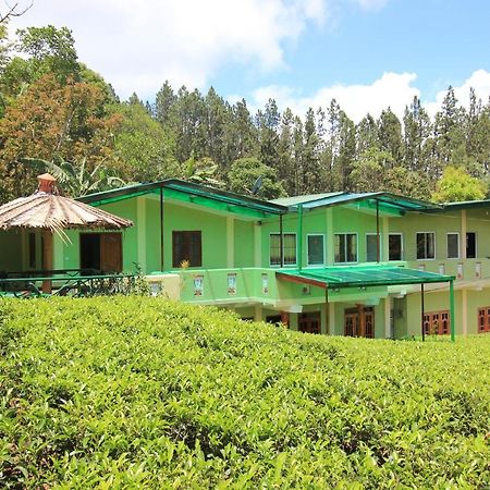 Narra Homestay Maskeliya Dış mekan fotoğraf