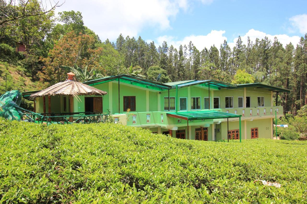 Narra Homestay Maskeliya Dış mekan fotoğraf