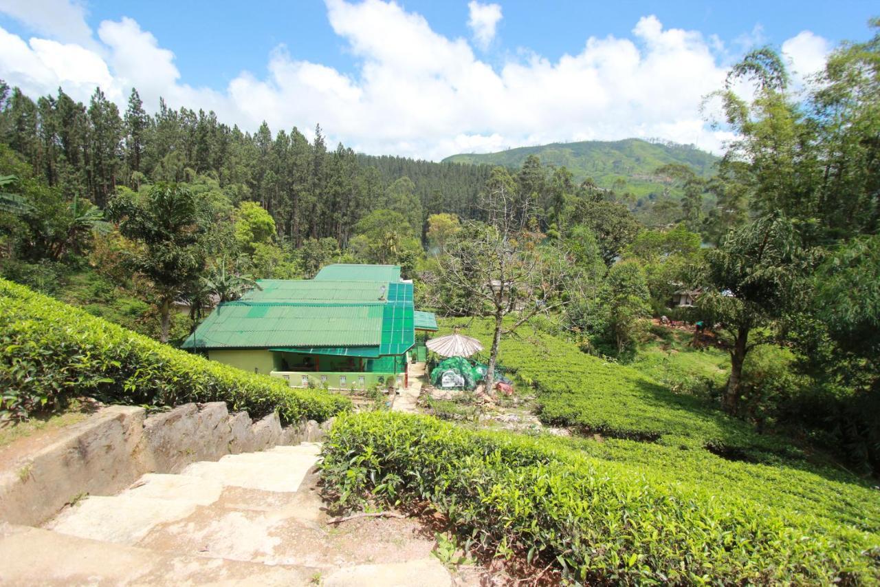 Narra Homestay Maskeliya Dış mekan fotoğraf