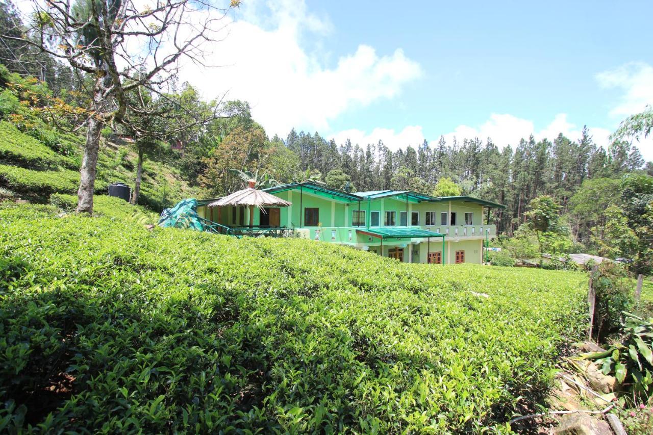 Narra Homestay Maskeliya Dış mekan fotoğraf
